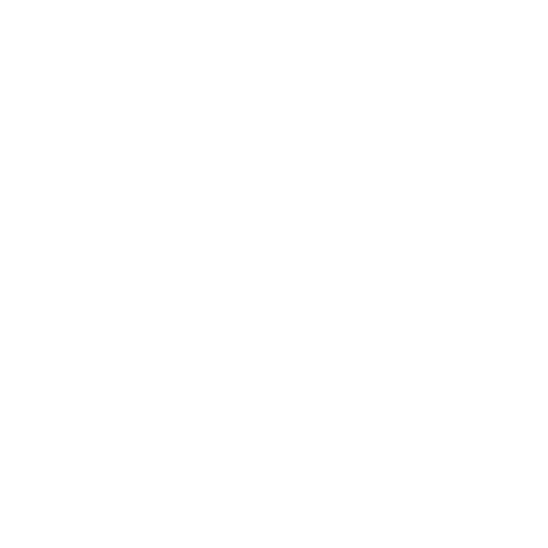 Robotic Face